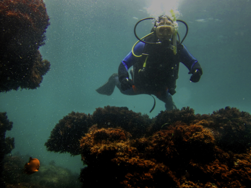 DiverRocks (1 of 1) Snorkel San Diego