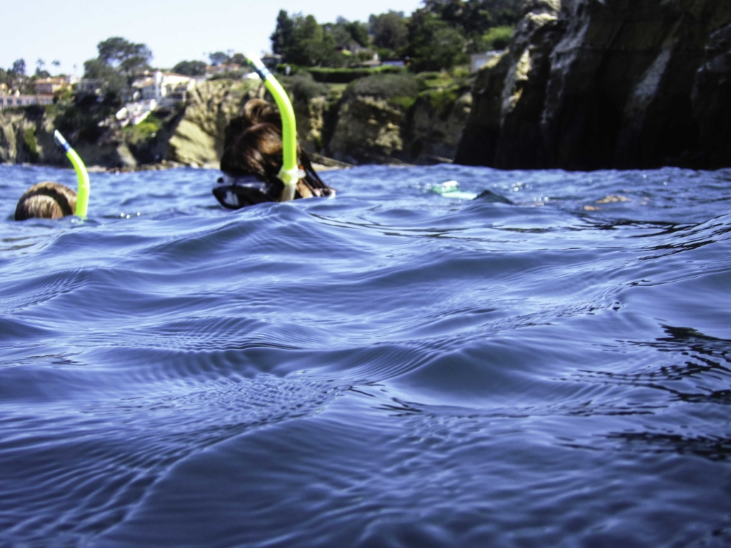 Snorkeling Snorkel San Diego
