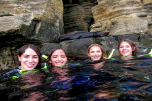 Best Times to Snorkel in San Diego: Seasonal Insights