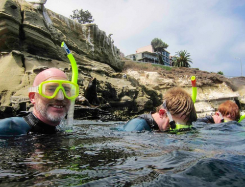 Can I Go Snorkeling in San Diego?