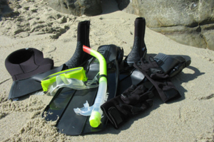 Snorkeling Safety Tips for San Diego's Ocean Adventures