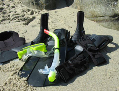 Snorkeling Safety Tips for San Diego’s Ocean Adventures