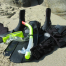 Snorkeling Safety Tips for San Diego's Ocean Adventures