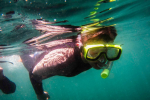 Why Snorkeling in La Jolla Cove Is a Must-Do Activity