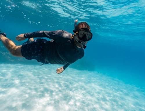 Top Tips for Snorkeling with Confidence in San Diego