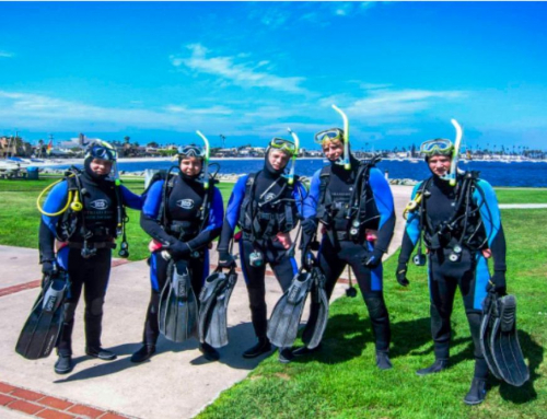 Are There Guided Snorkeling Tours Available in San Diego?