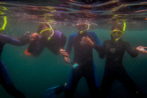 Why Choose a Guided Snorkeling Experience in San Diego?
