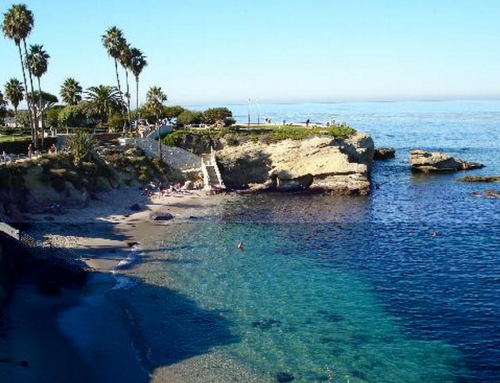How Does Snorkeling in San Diego Differ From Other Coastal Cities?
