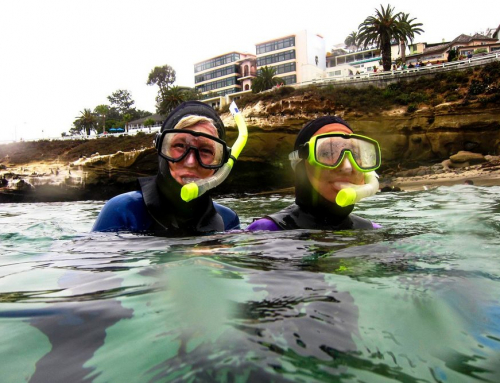 The Expertise of a Local: Why a San Diego Snorkeling Guide Matters