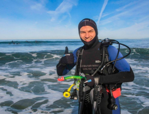 What Makes San Diego a Top Snorkeling Destination?