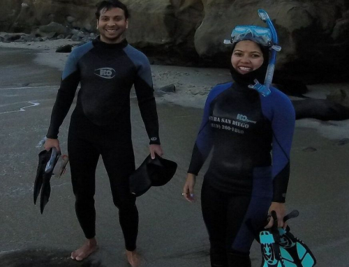 Beginner Tips for a Great Snorkeling Experience in San Diego
