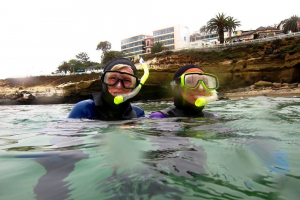 The Benefits of Snorkeling with a Local Guide at La Jolla Cove