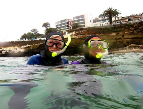 The Benefits of Snorkeling with a Local Guide at La Jolla Cove