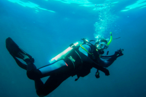 How to Safely Snorkel Through La Jolla’s Sea Caves with a Guide