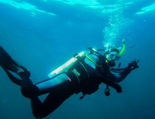 How to Safely Snorkel Through La Jolla’s Sea Caves with a Guide
