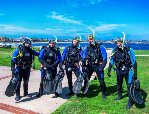 When to Consider Combo Kayak and Snorkel Tours for Unique Coastal Exploration