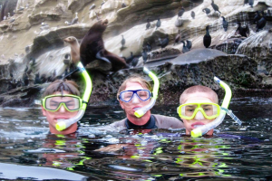 Why Joining a Snorkel Tour During Locals’ Summer Offers Better Conditions and Fewer Crowds