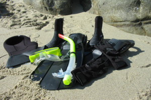 How to Pick the Right Wetsuit for a La Jolla Cove Snorkel Tour