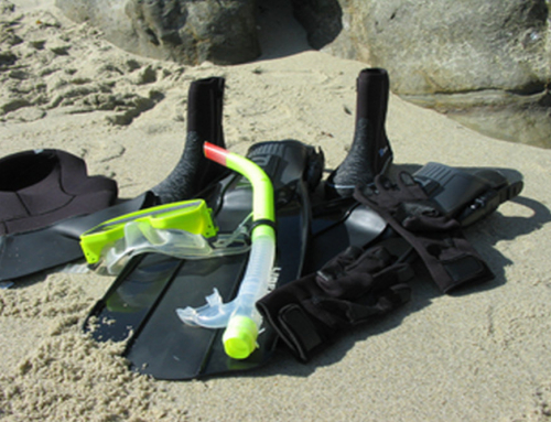 How to Pick the Right Wetsuit for a La Jolla Cove Snorkel Tour