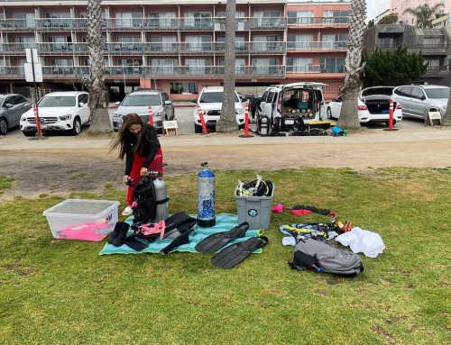 How to Plan Parking and Arrival for a La Jolla Cove Snorkeling Tour