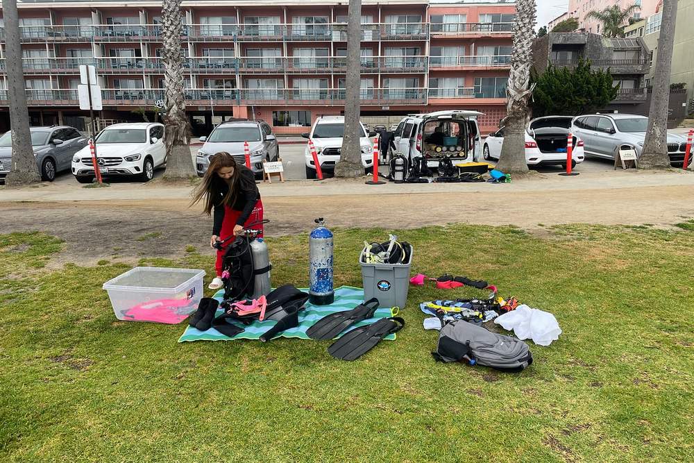 How to Plan Parking and Arrival for a La Jolla Cove Snorkeling Tour