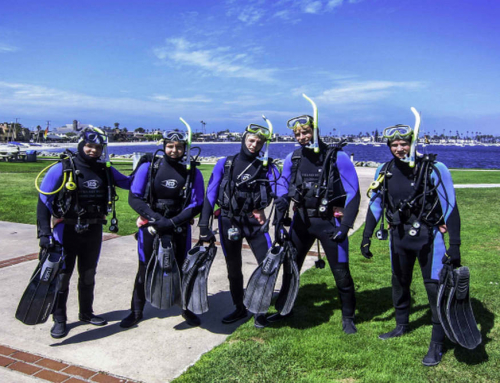 When to Book a Private Guided Snorkel Tour for Families and Small Groups in La Jolla