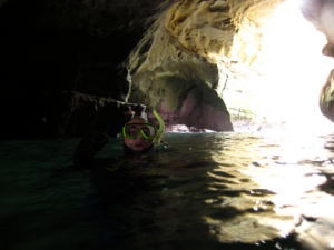 When to Upgrade Your Snorkel Tour for Sea Cave Exploration at La Jolla Cove