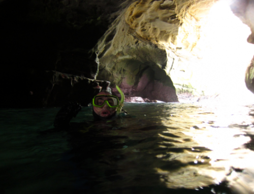 When to Upgrade Your Snorkel Tour for Sea Cave Exploration at La Jolla Cove