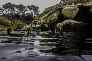 Why Guided Snorkeling Tours Are Better for First-Time Snorkelers in San Diego