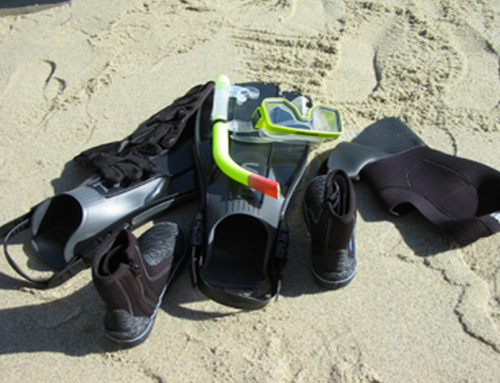 Why Snorkel Gear Included Tours Make Your La Jolla Adventure Easier