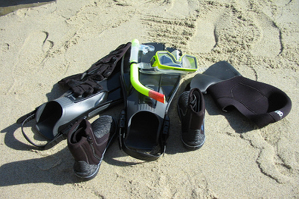 Why Snorkel Gear Included Tours Make Your La Jolla Adventure Easier
