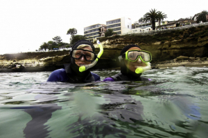 Why San Diego Is a Great Destination for Snorkeling Beginners