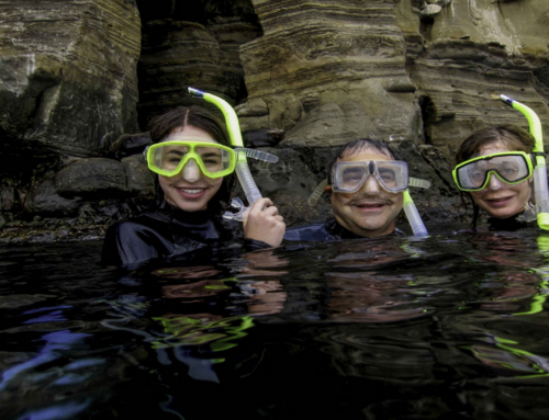 How Snorkeling With a Guide Helps You Discover San Diego’s Marine Life