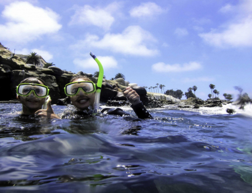 What to Expect During Your First Guided Snorkeling Tour in La Jolla