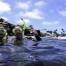 What to Expect During Your First Guided Snorkeling Tour in La Jolla